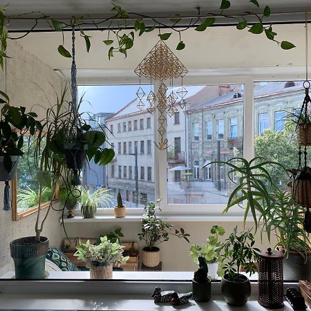 Three Bedroom With Two Terraces For 7People+Baby Kaunas Eksteriør bilde