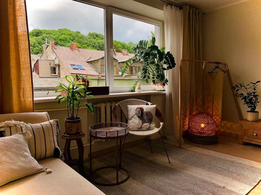 Three Bedroom With Two Terraces For 7People+Baby Kaunas Eksteriør bilde