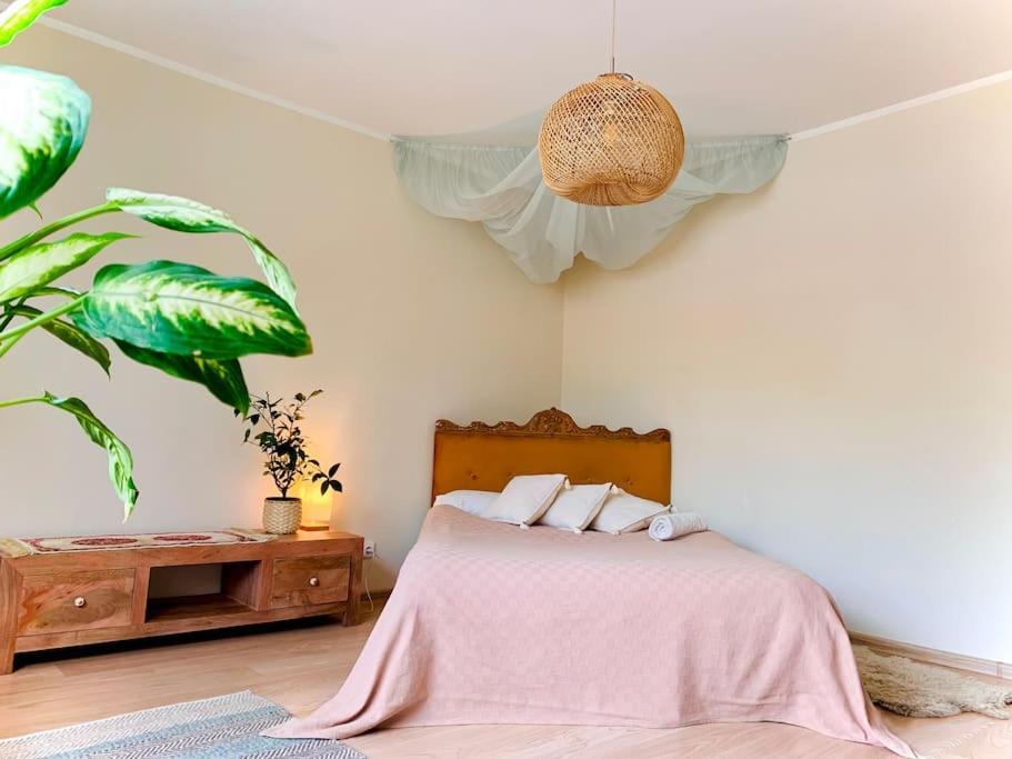 Three Bedroom With Two Terraces For 7People+Baby Kaunas Eksteriør bilde