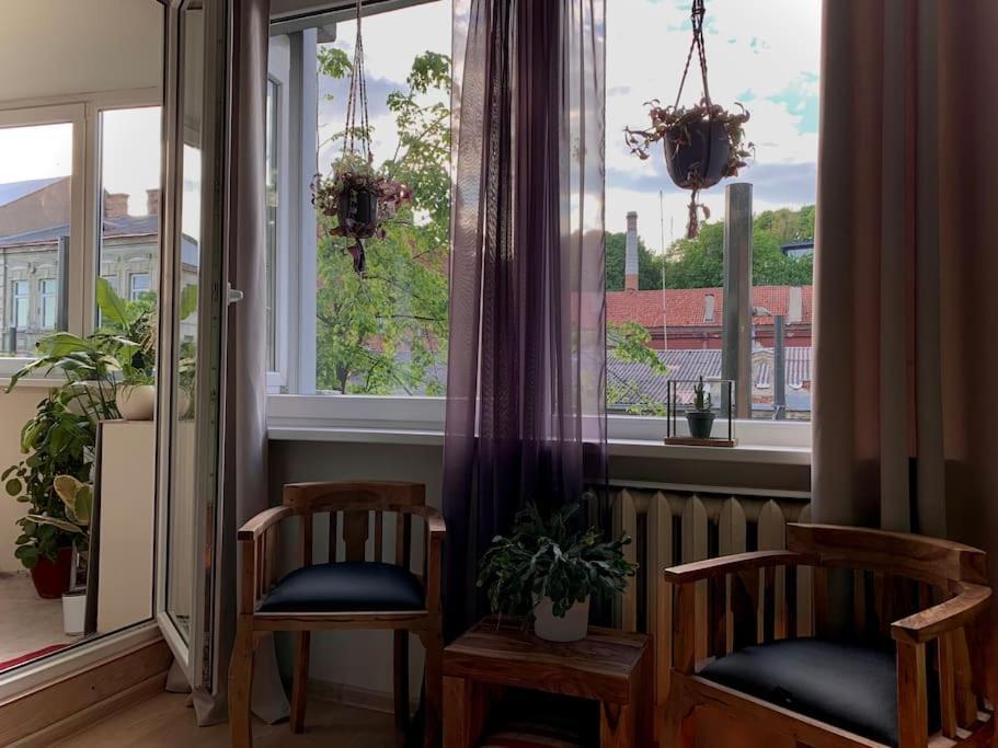 Three Bedroom With Two Terraces For 7People+Baby Kaunas Eksteriør bilde