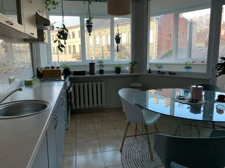 Three Bedroom With Two Terraces For 7People+Baby Kaunas Eksteriør bilde